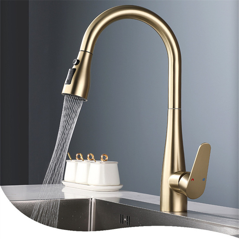 Kitchen Appliances Integrated - Brushed Gold Pull Out Kitchen Faucet